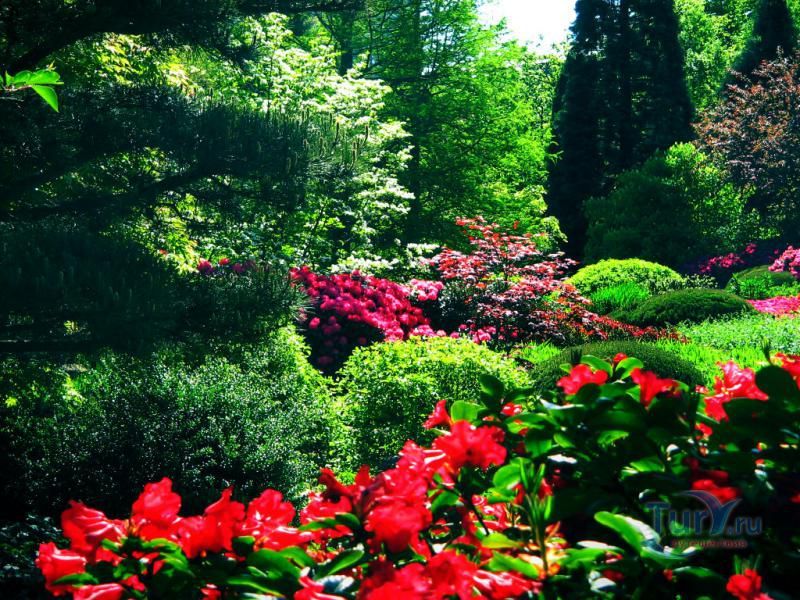 Центральный ботанический сад Национальной академии наук Беларуси