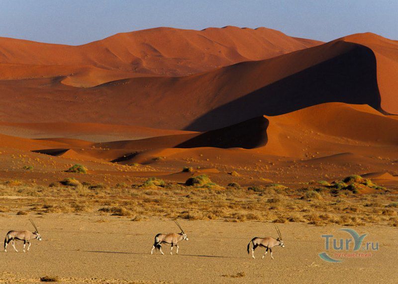 Национальный парк Намиб-Науклюфт