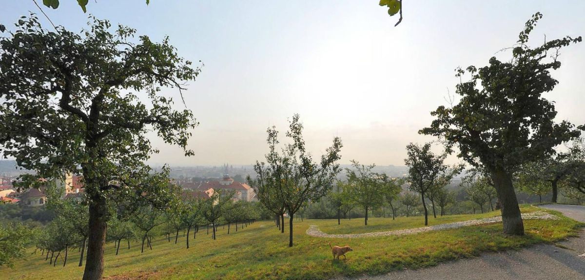 Семинарские сады