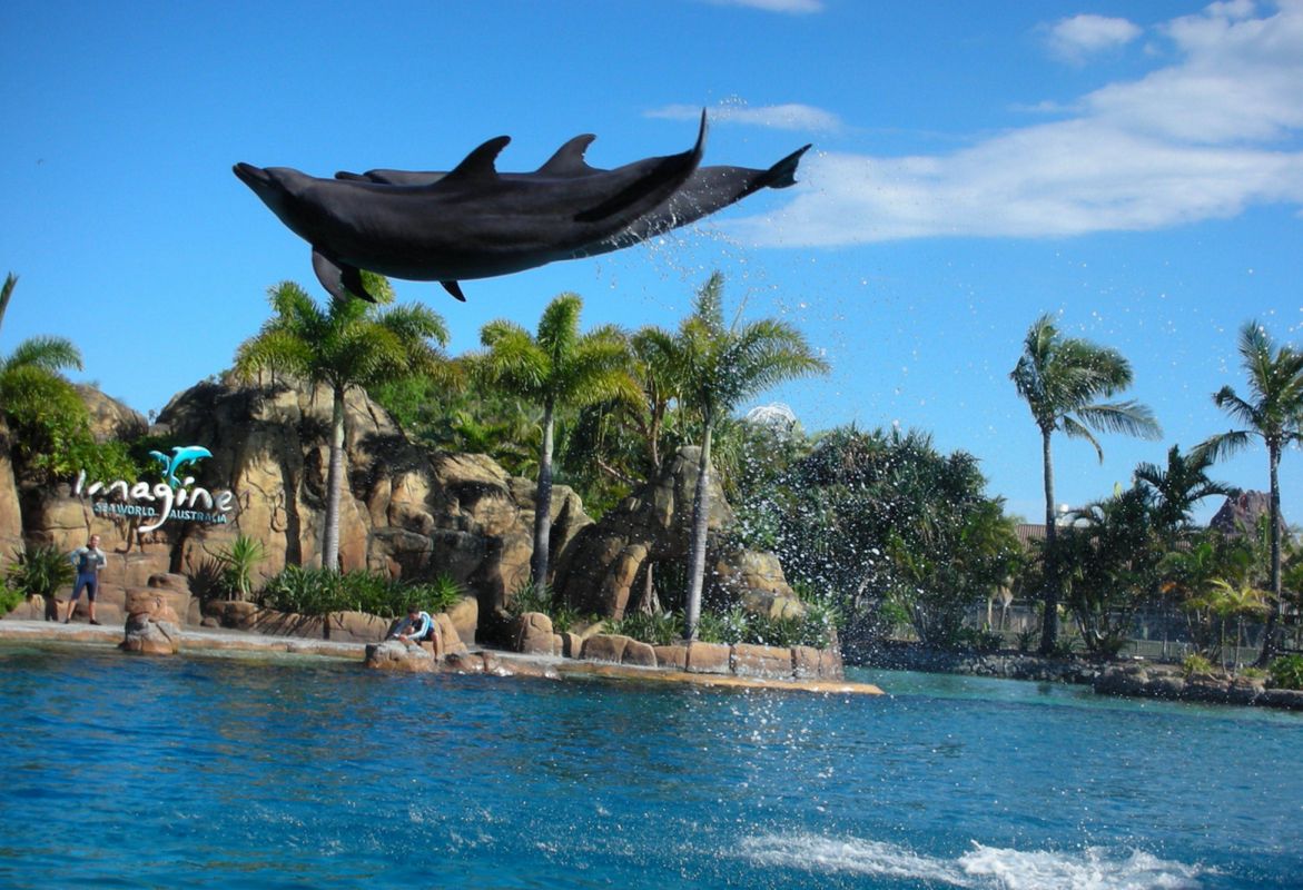 Парк Мир Моря