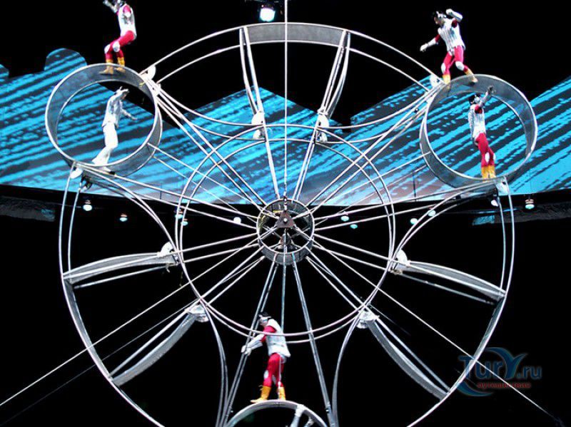 Всемирный Шанхайский Цирк