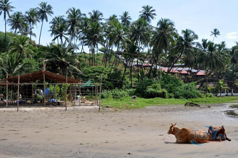 Пляж Вагатор