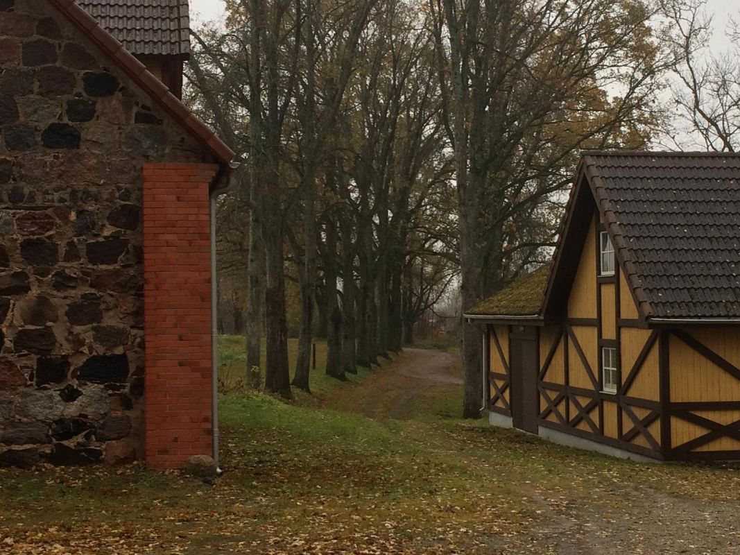 Поместье Вяйкемойза