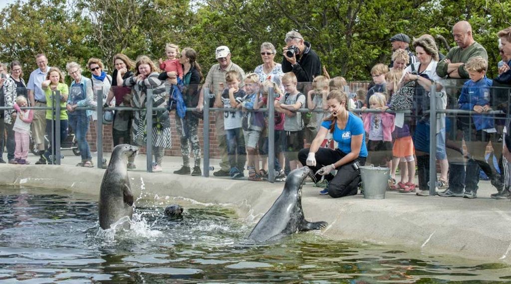 Музей рыболовства и мореплавания в Эсбьерге - Датский морской музей