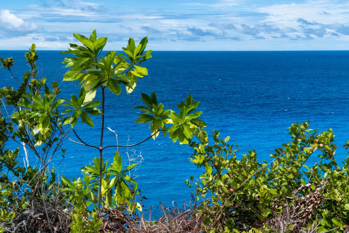 Тропа Анс Мажор