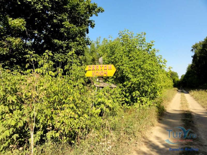 Национальный парк Нижняя Кама – Малая Сосновая Роща в Елабуге