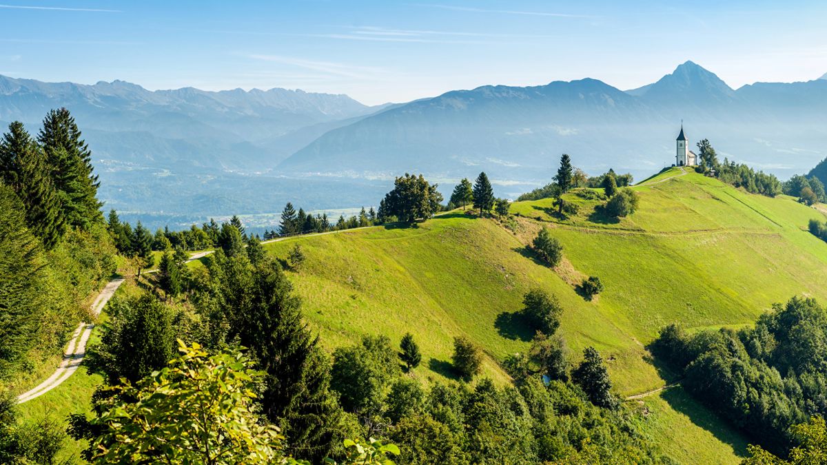 Плато Еловица