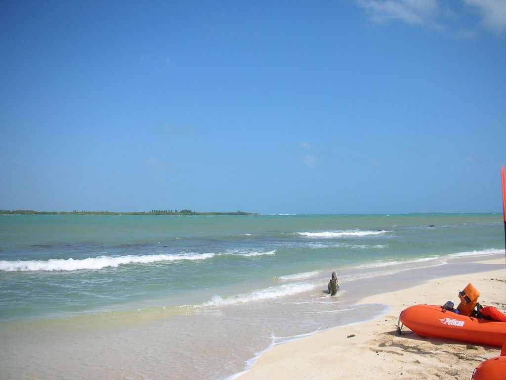 Кайо Муэрто