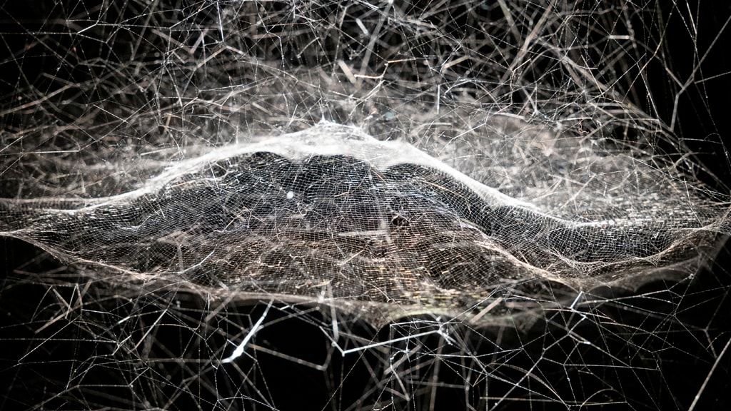 Цистерны в Сёндермаркене