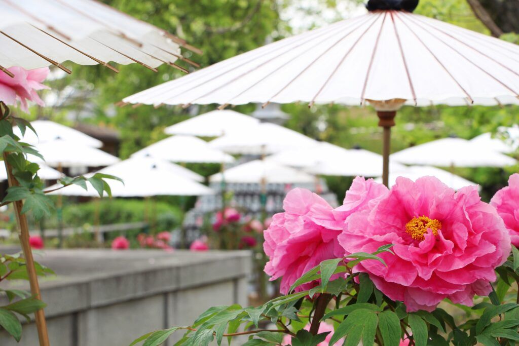 Храм Отокуни-дера