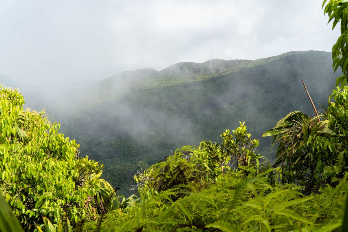 Смотровая площадка Морн Блан