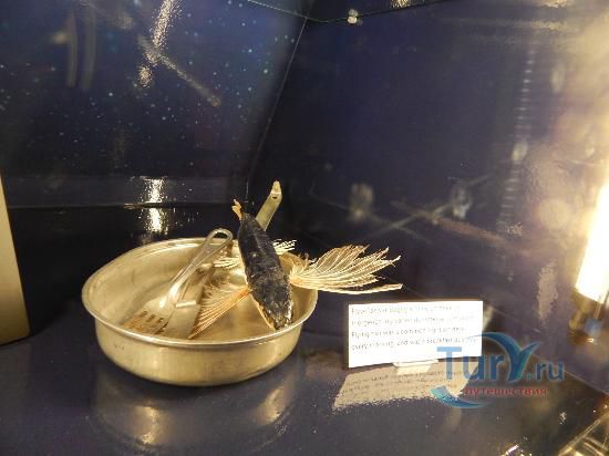 Музей Кон-Тики