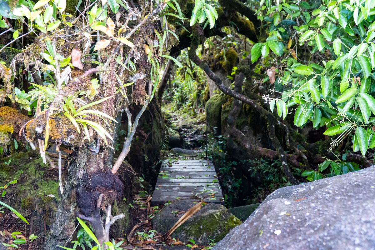 Национальный парк Морн Сейшелуа