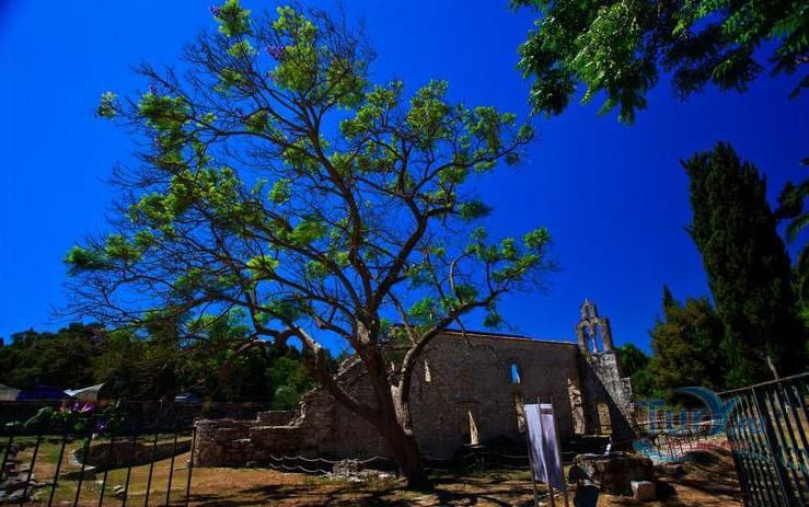 Палеополис