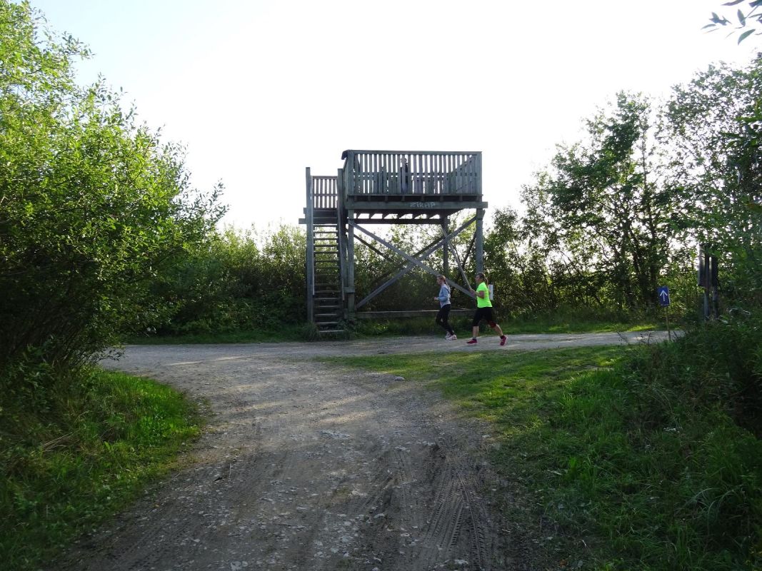 Смотровые вышки для наблюдения за птицами в Пальяссаареской заповедной зоне