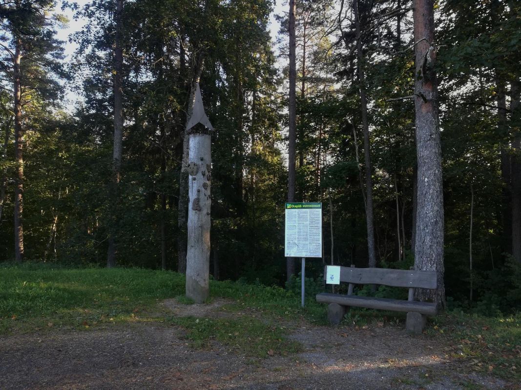 Энергетический столб в Отепяэ