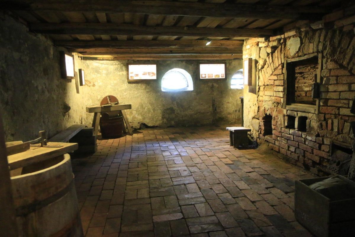 Музей цикория