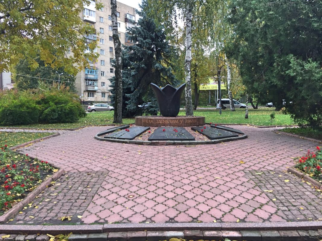 Черный Тюльпан