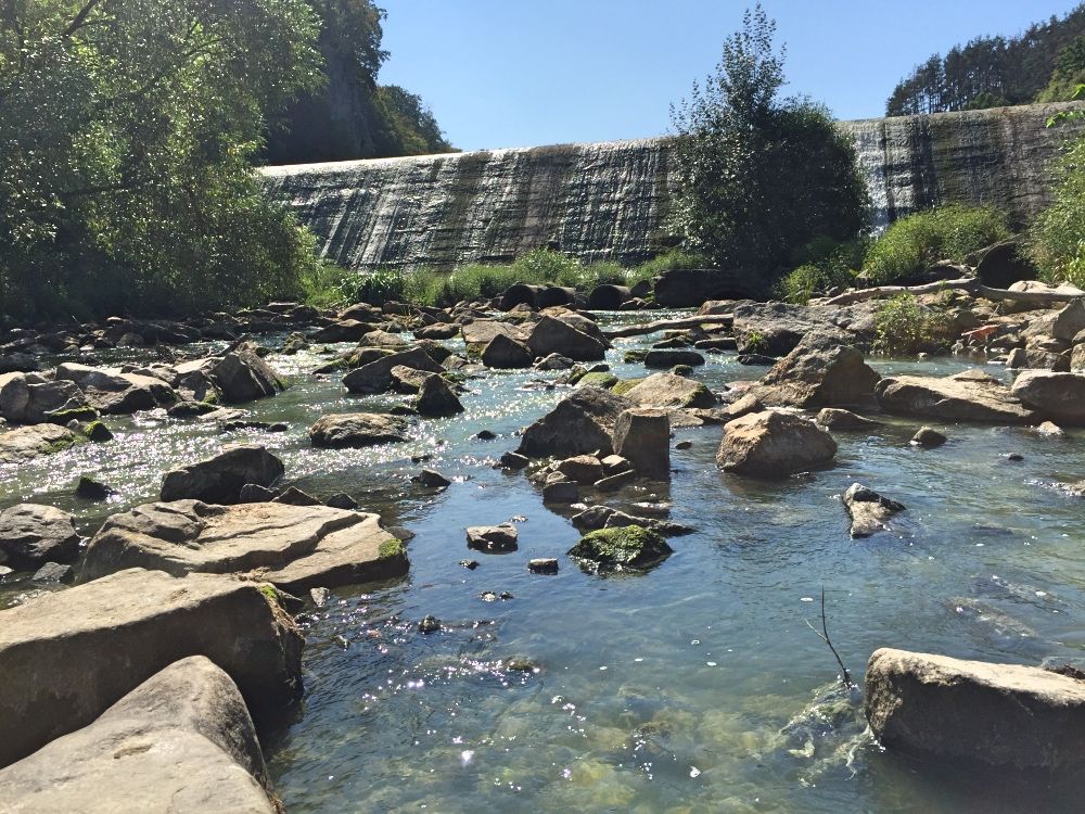 Река Тетерев