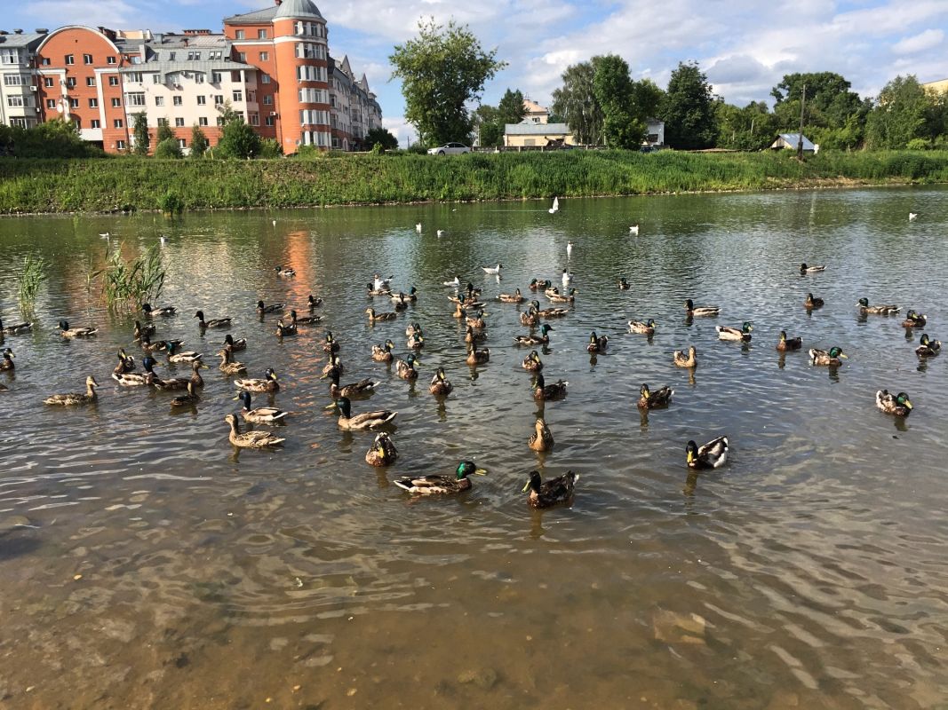 Парк Победы