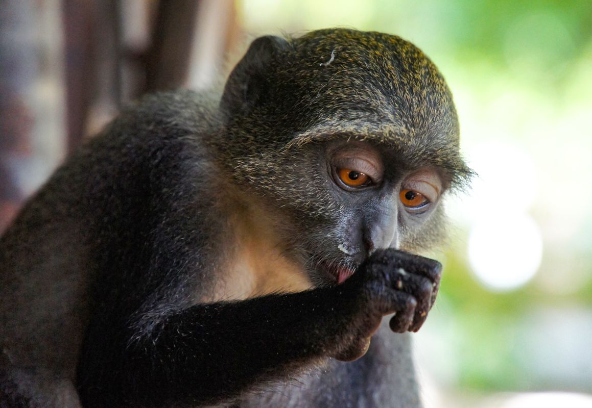 Bidi Badu Beach Resort