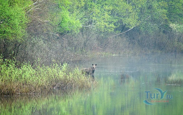 Государственный природный заповедник Нургуш
