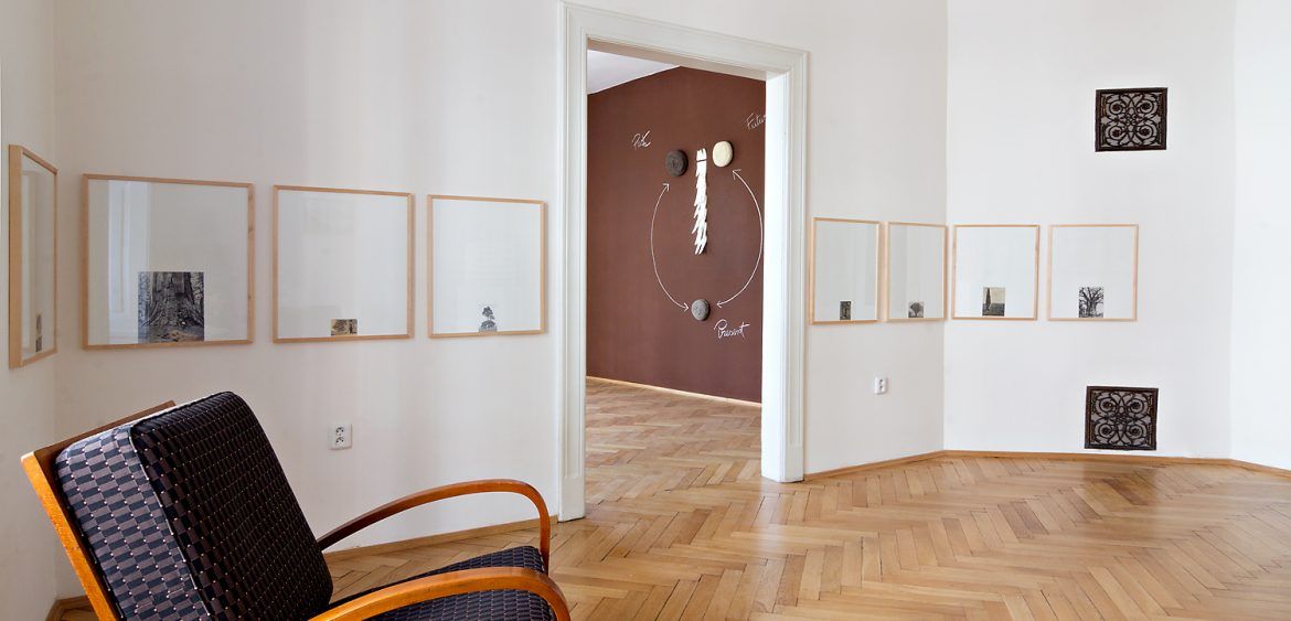 Jiri Svestka Gallery