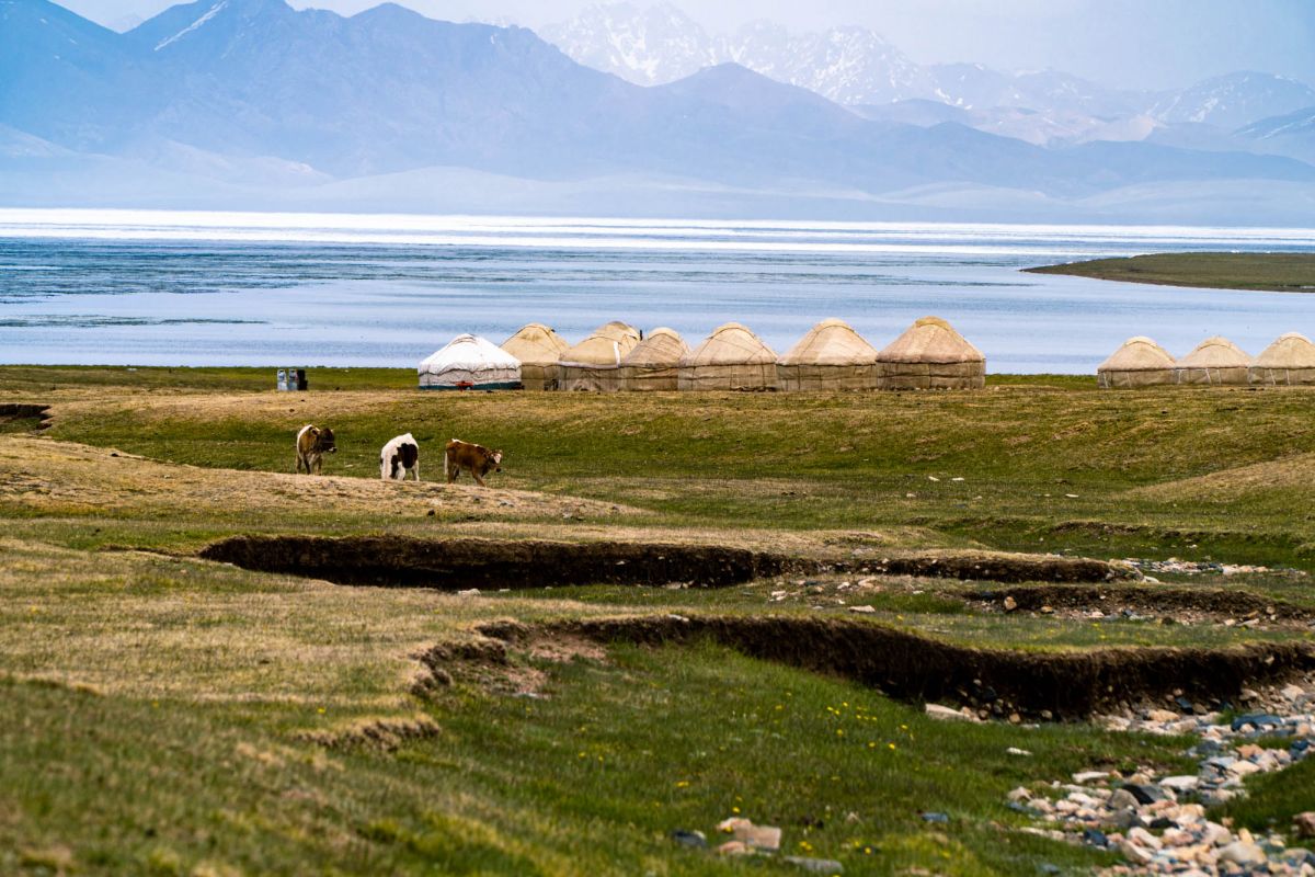 Юрточный лагель на озере Сонкёль