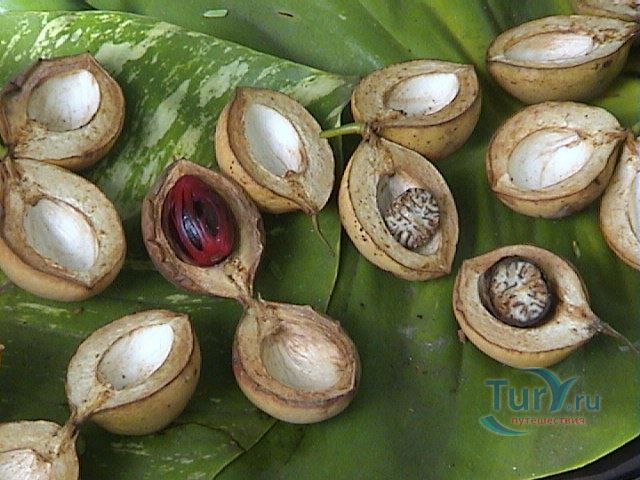 Ботанический Сад Алмазные Водопады