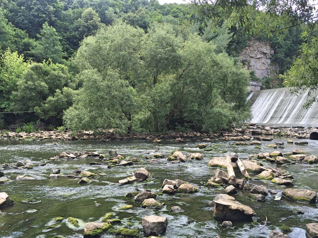 Житомирская плотина