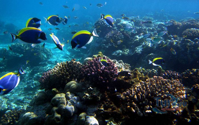 Национальный Морской Парк и Заповедник Ватаму