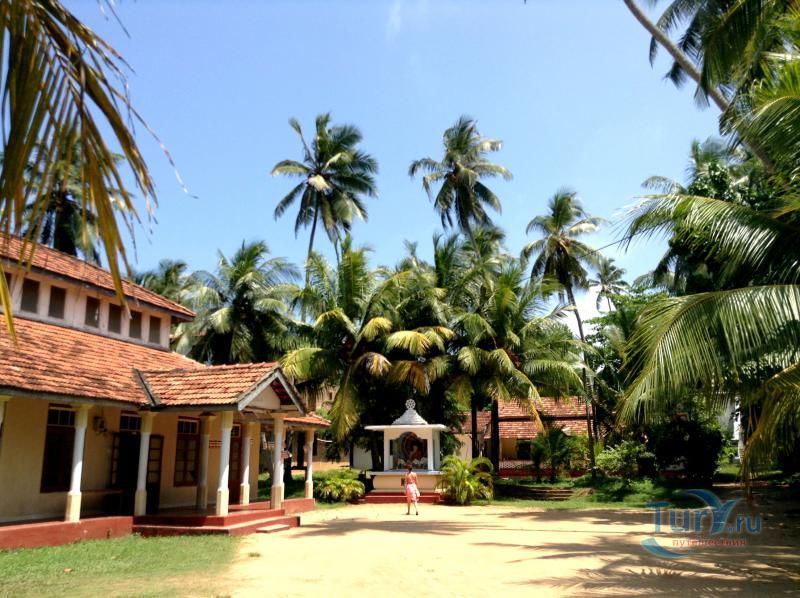 Буддистский Храм-ступа Sri Thapodarama Buddist Temple в районе Вивала в Хиккадуве