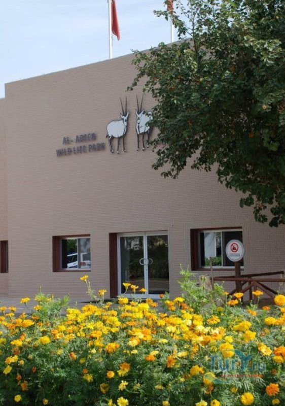 Природный заповедник Аль Арин