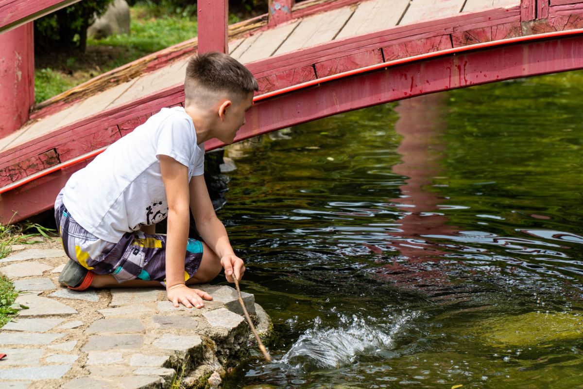 Японский сад в Батуми