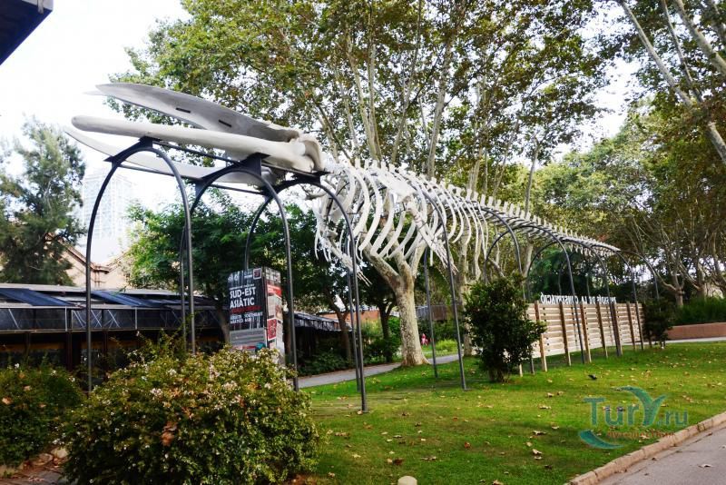 Барселонский зоопарк