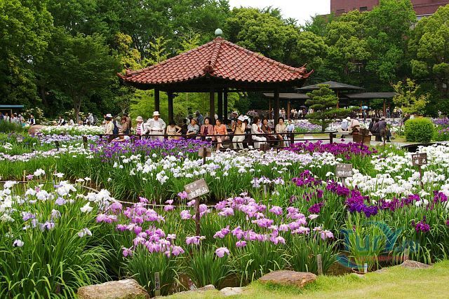 Парк Широкита