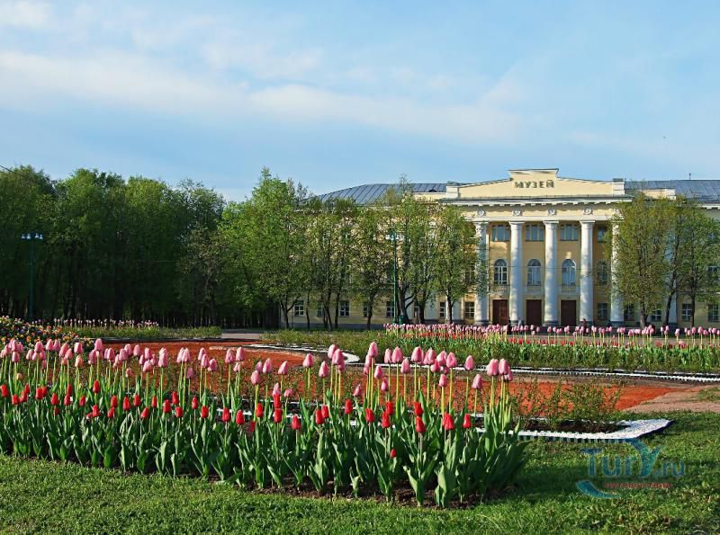 Музей изобразительных искусств