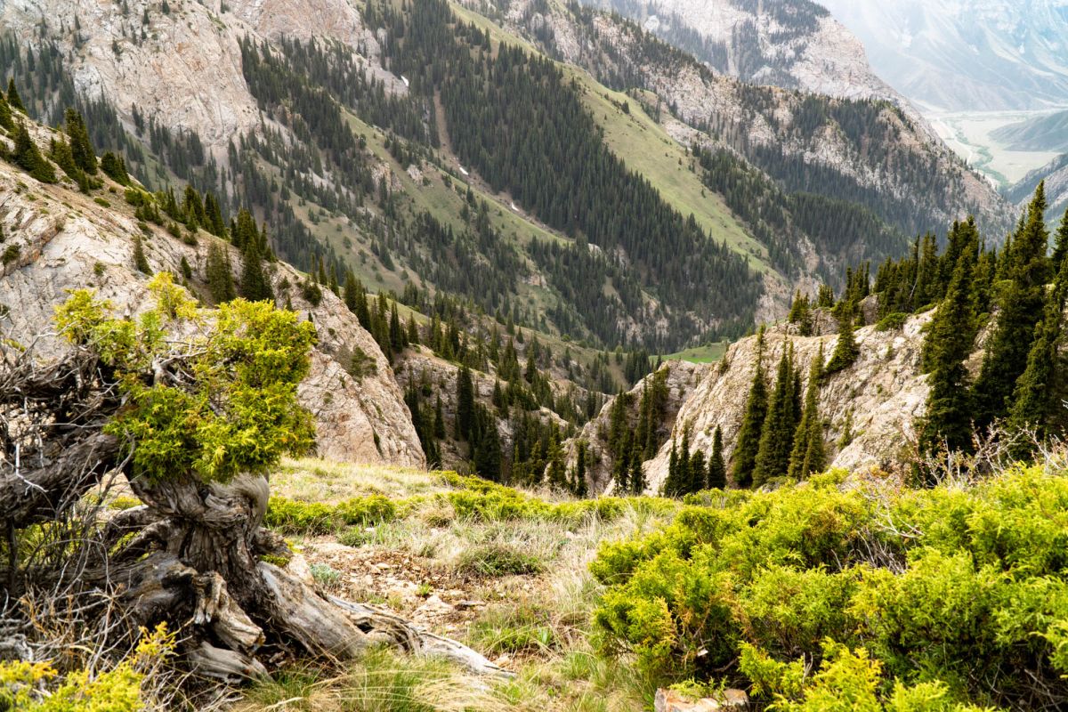 Перевал Молдо Ашуу