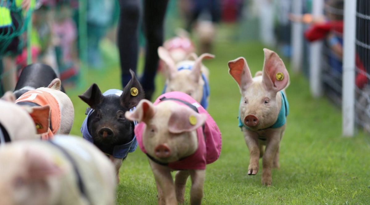 Церковная Ферма