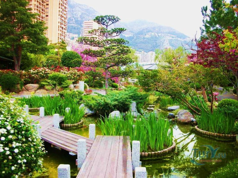 Королевский Японский сад