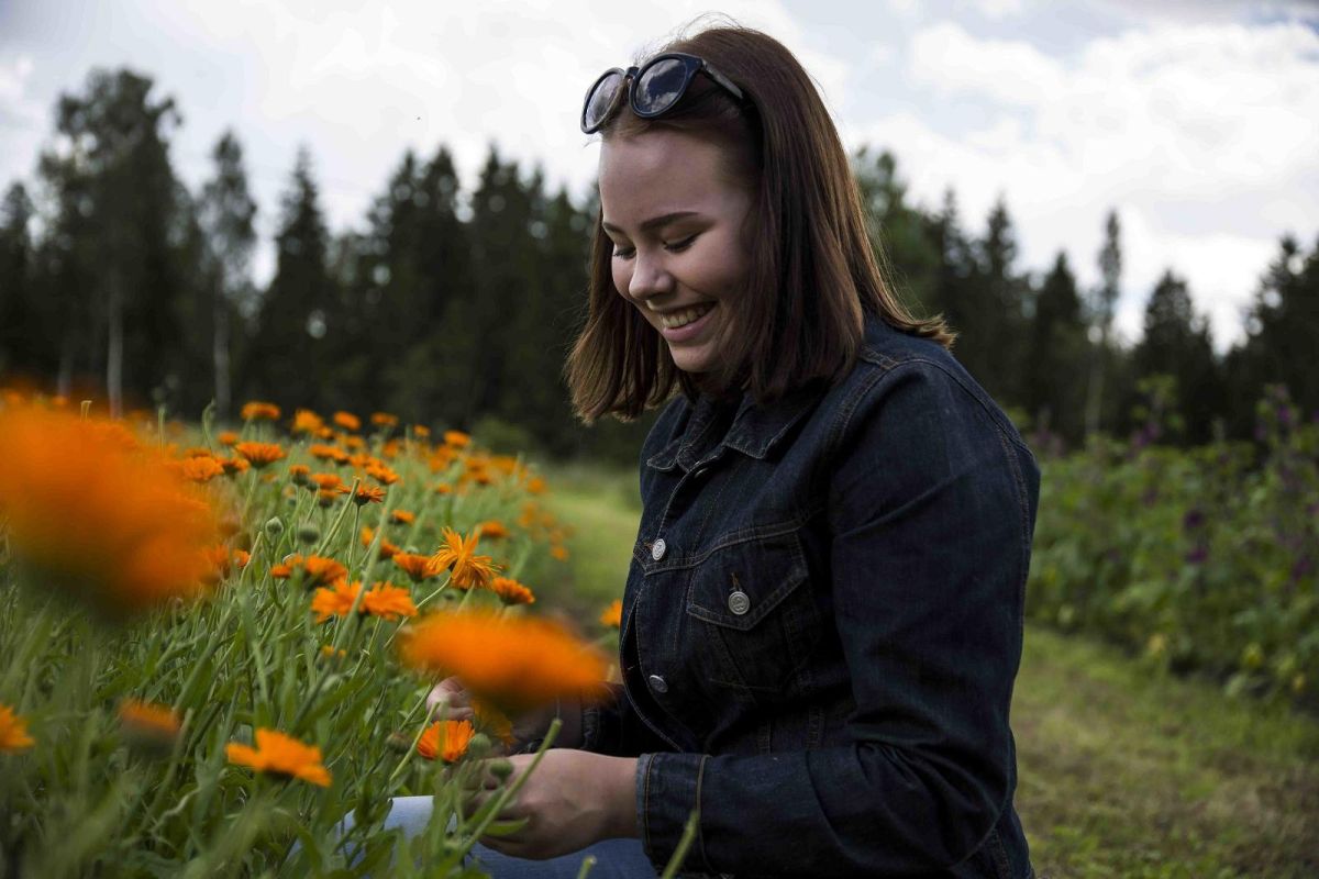 Центр лекарственных растений «Energia»