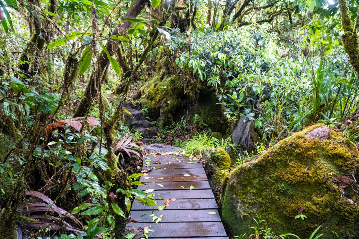 Морн Блан Трейл