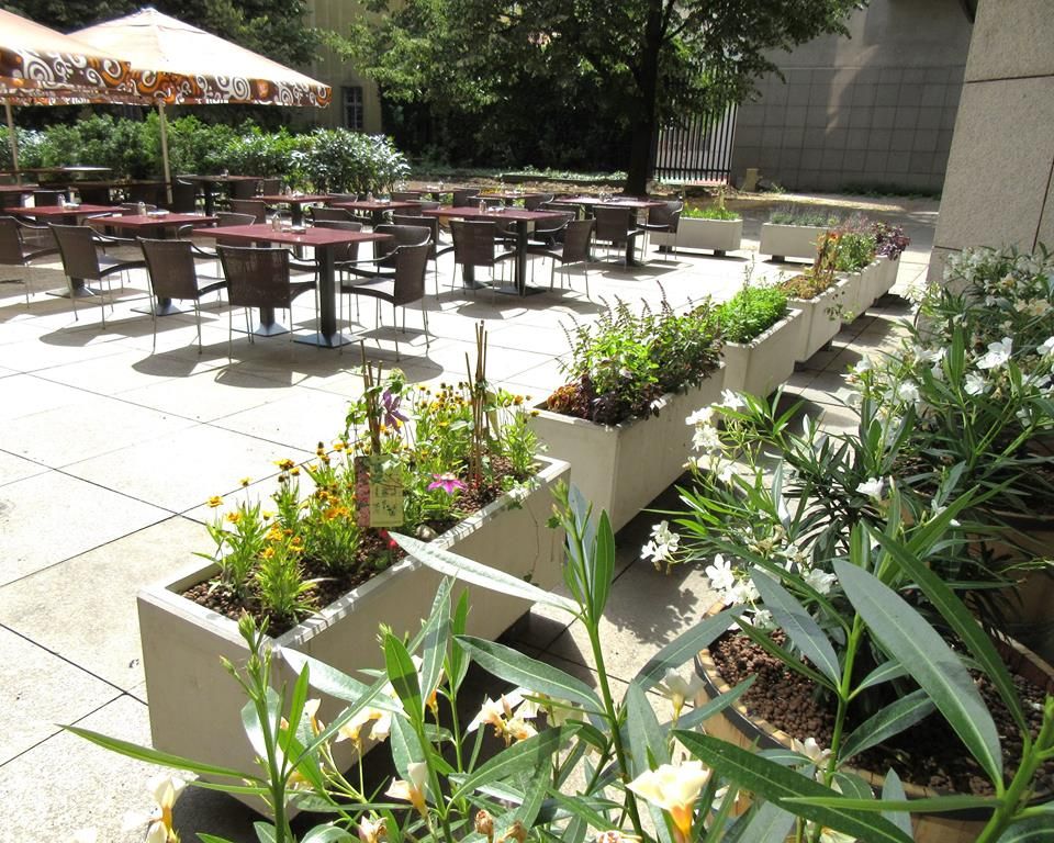 Пивовар Pivovar Národní