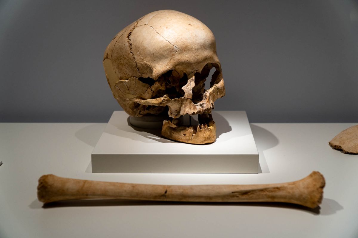 Музей доисторической эпохи Валенсии