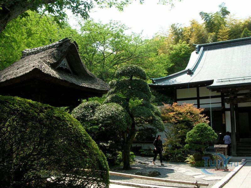 Храм Хококуджи