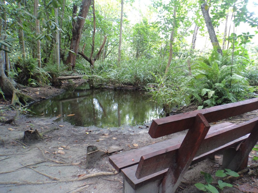 Особый заповедник Veuve