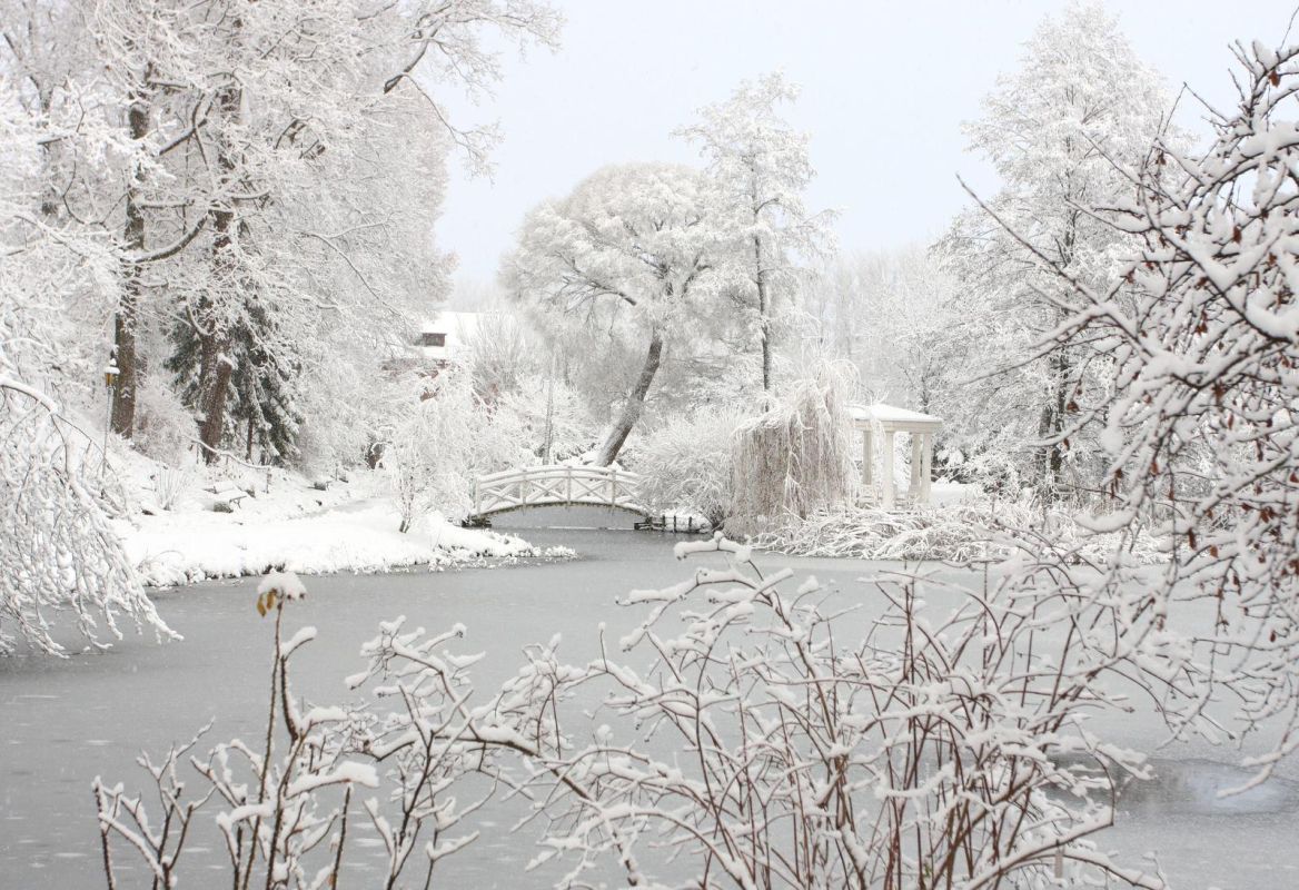 Ботанический сад Тартуского университета