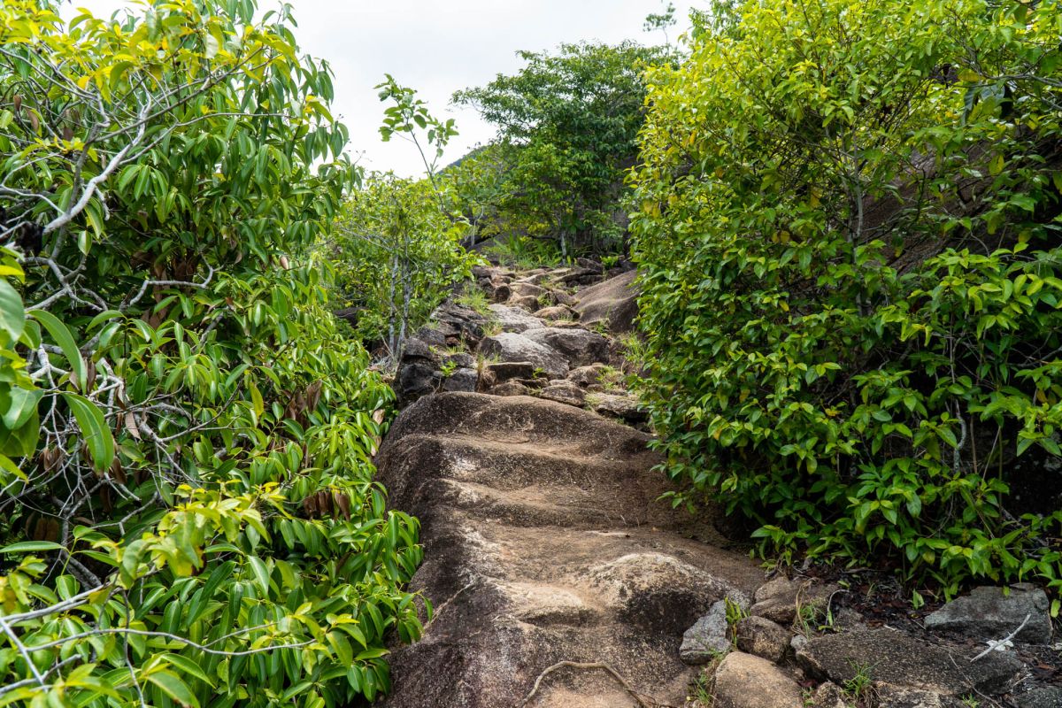 Тропа Анс Мажор