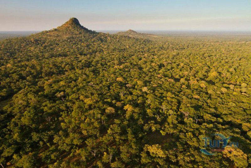 Национальный Парк Горонгоса
