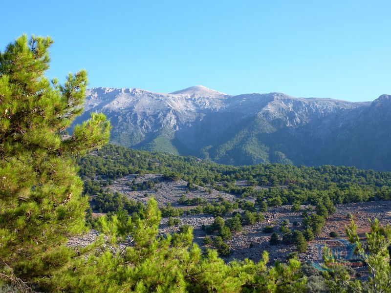 Белые горы (Лефка Ори)